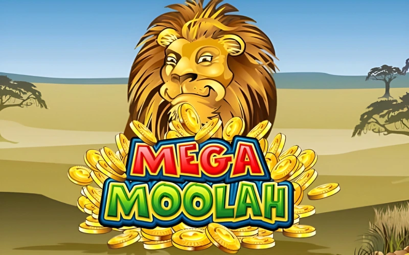 Get into the heart of the African savannah with majestic lions with Mega Moolah at JeetBuzz casino.